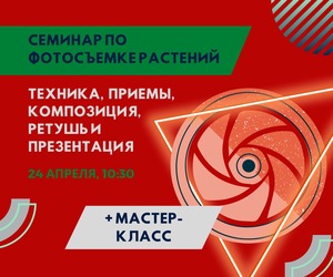 Съемка растений в Питомнике и Садовом Центре для презентации Заказчику. Лысиков Андрей