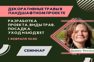 СЕМИНАР "ДЕКОРАТИВНЫЕ ТРАВЫ В ЛАНДШАФТНЫХ ПРОЕКТАХ"