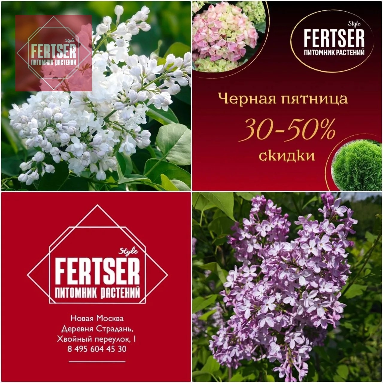 Когда скидка 50%, а настроение — 100!