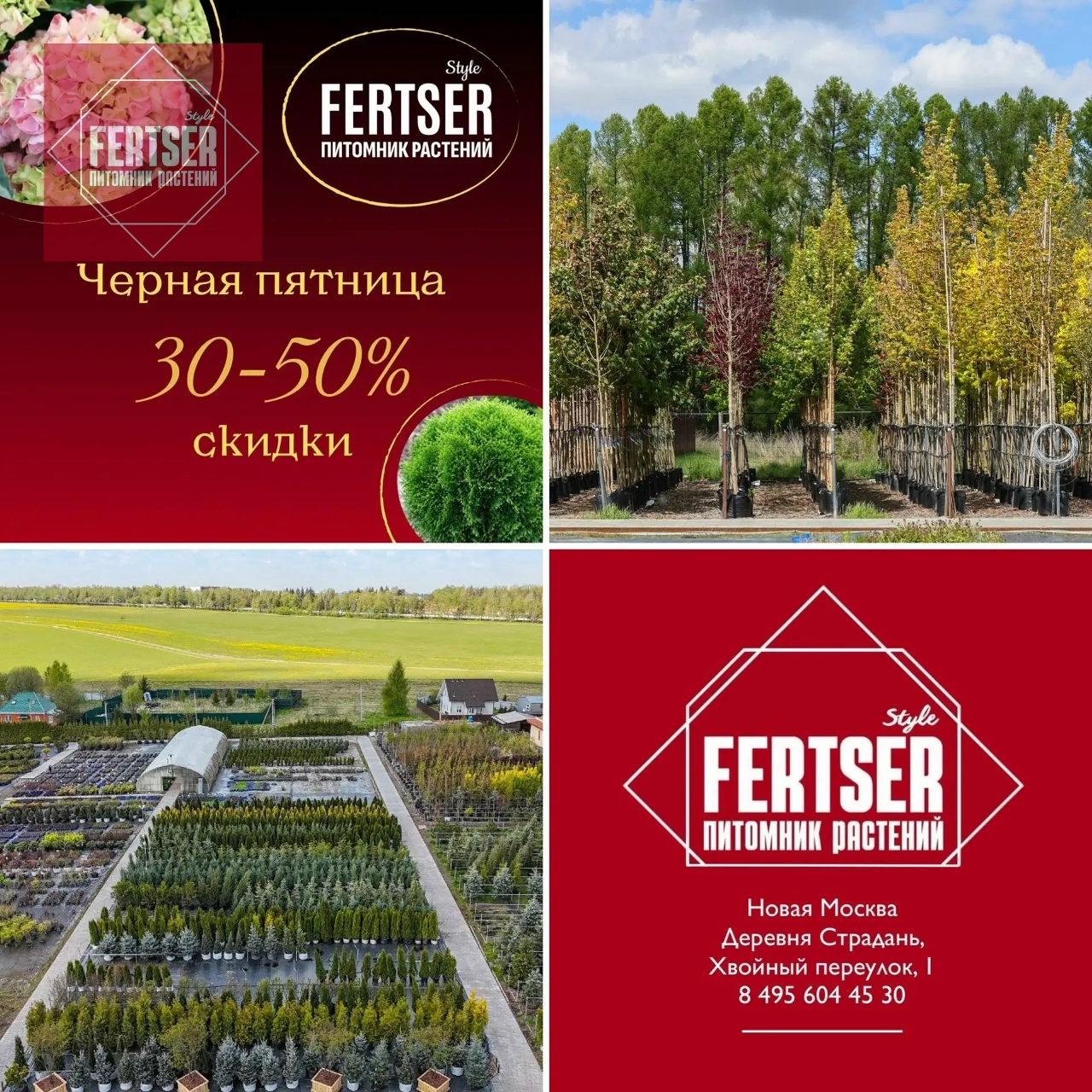 Аллея мечты со скидкой! Только сегодня!🌳