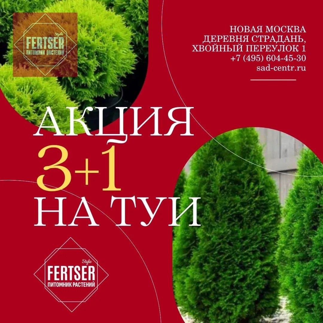 π₯ΠΠΊΡΠΈΡ 3+1 Π½Π° Π²ΡΠ΅ ΡΡΠΈ