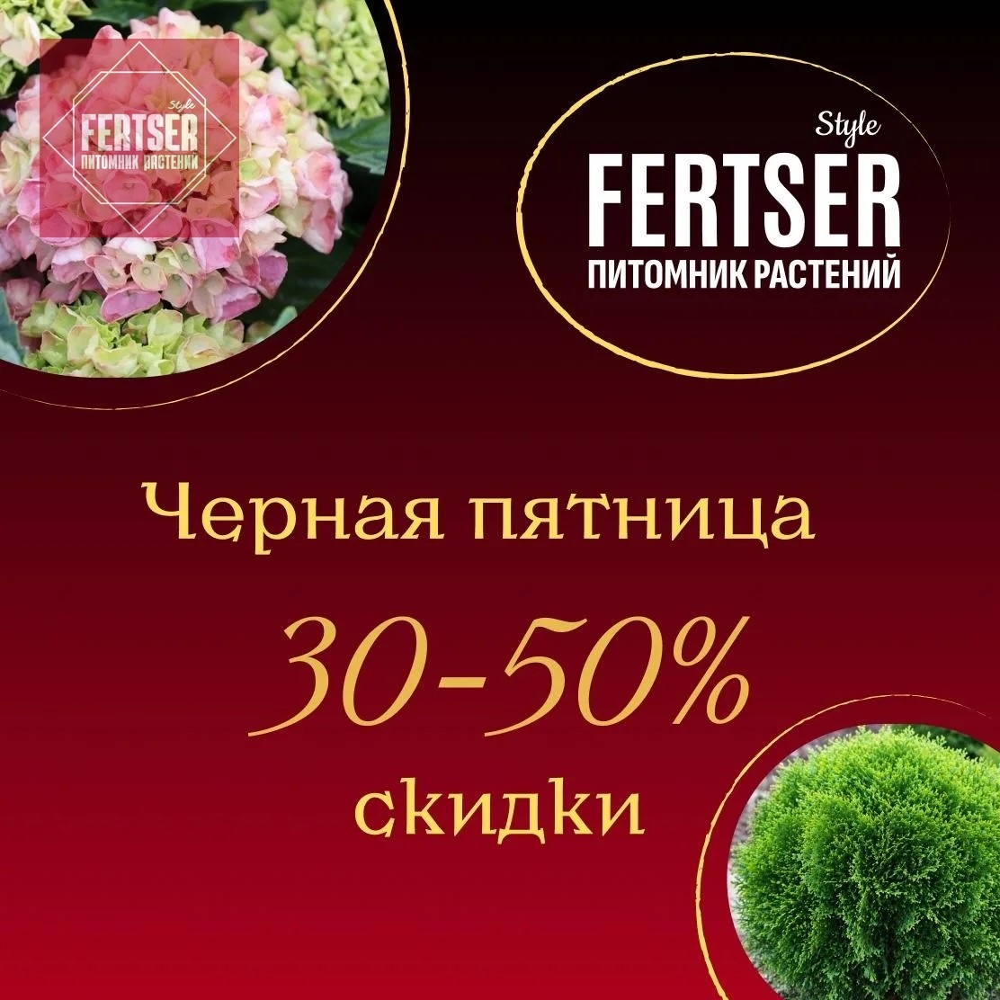 Пятничная Хвоя!🌲