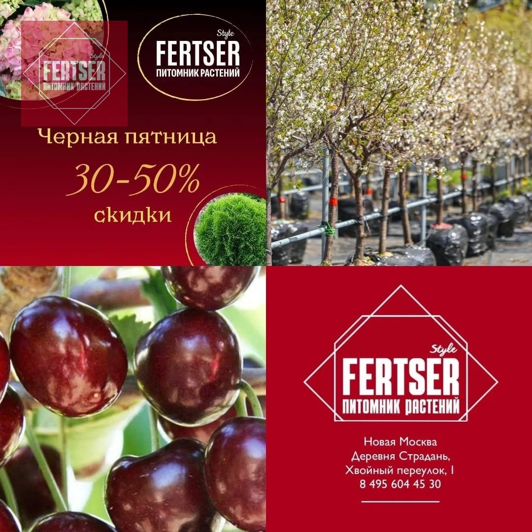 САДОВЫЙ РАЗГРОМ!🍏🍒🍐